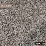 FLORA  Bge / L.Br 6365A – Image 86