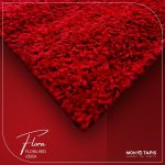 FLORA  Bge / L.Br 6365A – Image 105