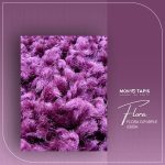 FLORA  Bge / L.Br 6365A – Image 55