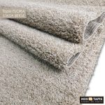 FLORA  Bge / L.Br 6365A – Image 12