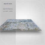 MONTREAL DC91N – Image 3