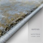 MONTREAL DC91N – Image 9