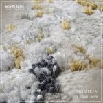 MONTREAL DC91N – Image 10