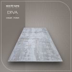 DIVA PV95M – Image 4