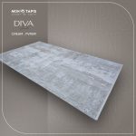 DIVA PV95M – Image 6