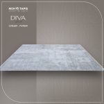 DIVA PV95M – Image 5