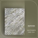 ASCENSION TB11C – Image 8