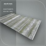 ASCENSION TA93C – Image 7