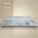 ASCENSION PE41A – Image 3