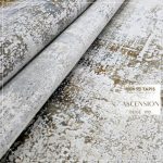 ASCENSION PE41A – Image 11