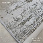 ASCENSION PE41A – Image 7