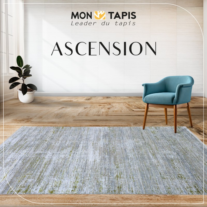 600_ck15EVZ-2.jpg ASCENSION TB11C – Image 1