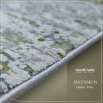 ASCENSION TB11C – Image 11