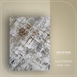 ASCENSION PE41A – Image 6