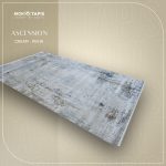 ASCENSION PE41A – Image 5