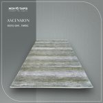 ASCENSION TA93C – Image 6