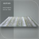 ASCENSION TA93C – Image 5