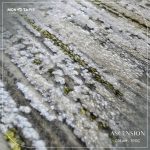 ASCENSION TA93C – Image 10