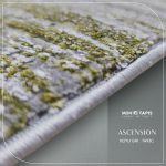 ASCENSION TA93C – Image 12