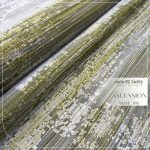 ASCENSION TA93C – Image 14