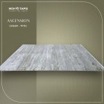 ASCENSION TB11C – Image 3