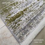 ASCENSION TB11C – Image 9