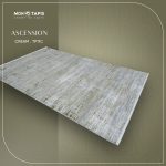 ASCENSION TB11C – Image 4