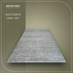 ASCENSION TB11C – Image 2