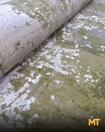 ASCENSION TC13A – Image 5