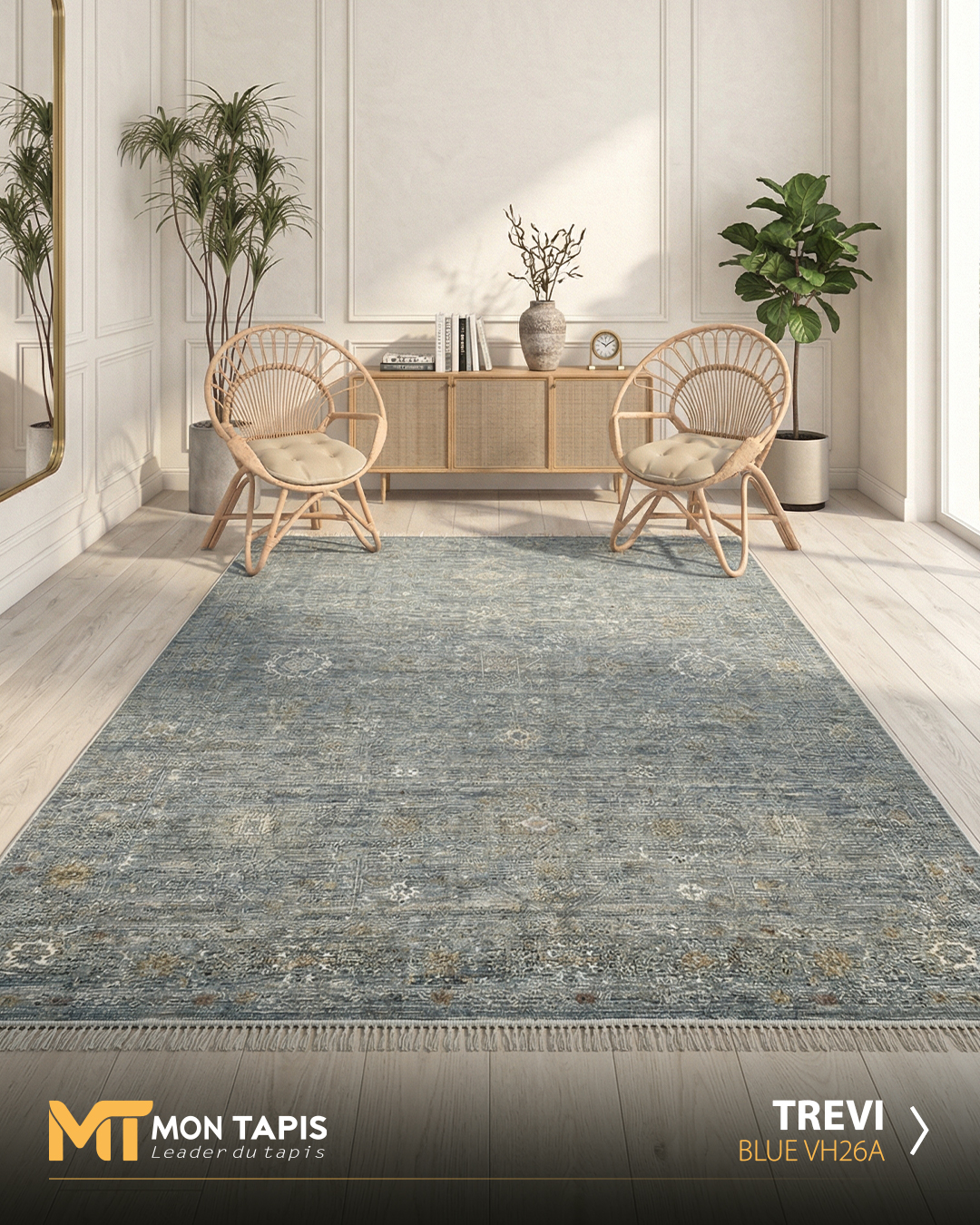 646_GxLc6S0KQn-1.jpg TREVI VH26A – Image 1