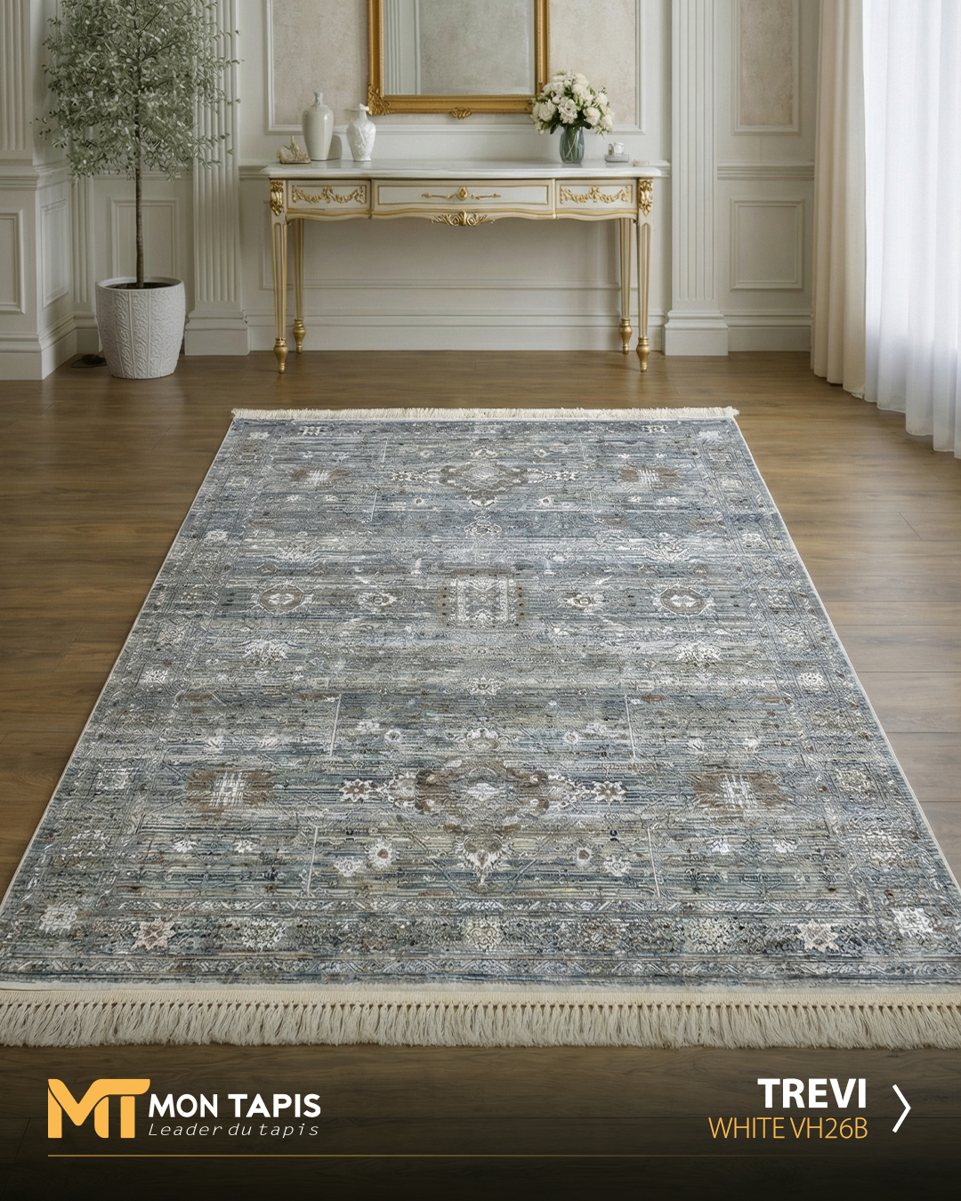 646_fBlixKLBPv.jpg TREVI VH26B – Image 1