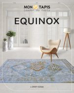 EQUINOX KZ36A - Image 11
