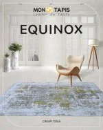 EQUINOX TS76A