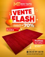 FLORA DESTOCKAGE 6365A